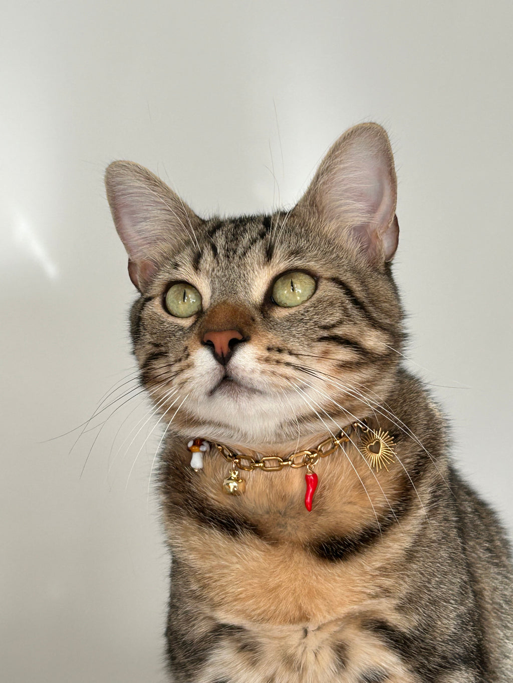 Modèle Claudette
