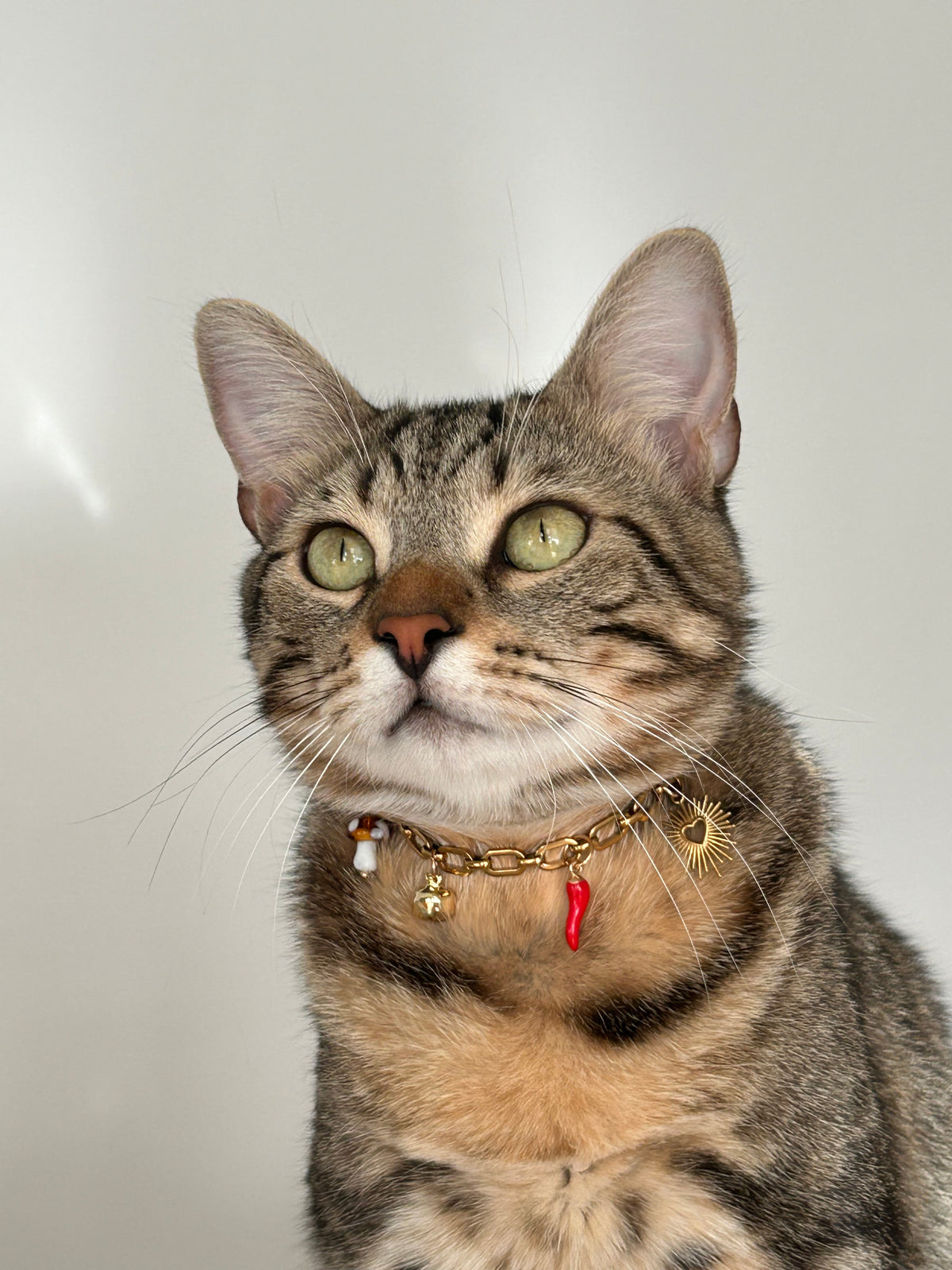 Modèle Claudette